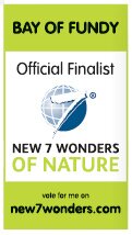 Official Finalist of the New 7 Wonders of Nature Official Finalist of the New 7 Wonders of Nature