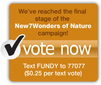 Vote Now Vote Now